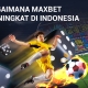 Panduan Taruhan Olahraga: Bagaimana Maxbet Meningkat di Indonesia 2